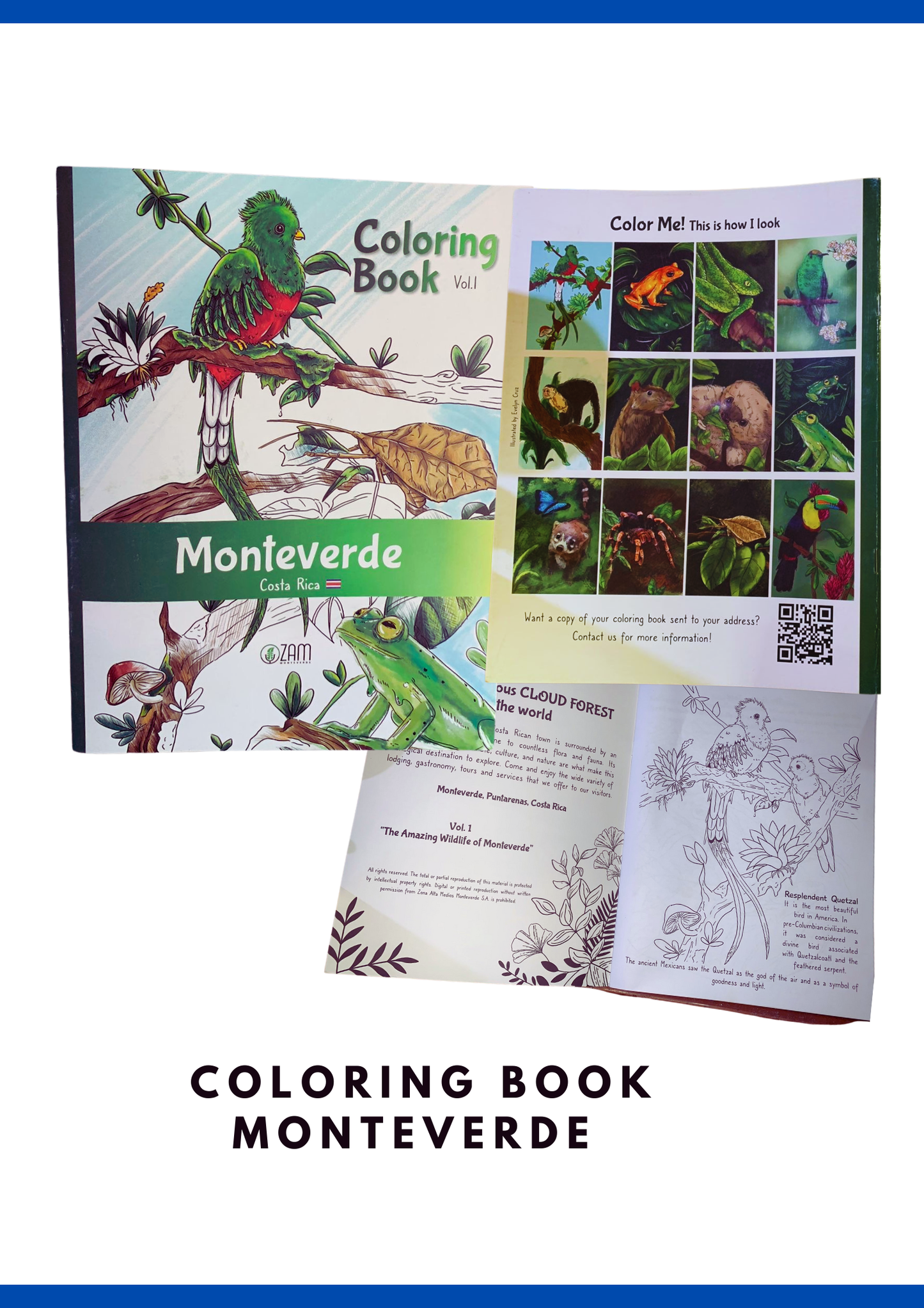 Monteverde coloring book