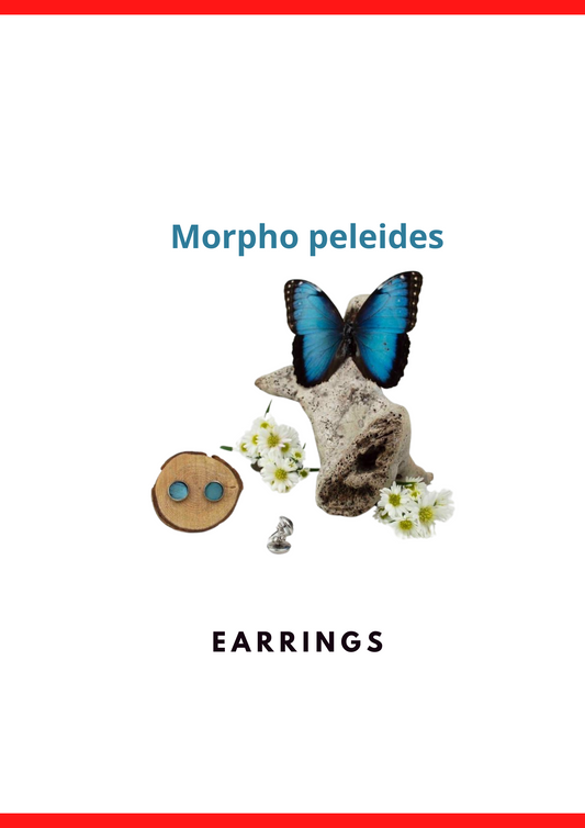 Earrings - Limited Edition 