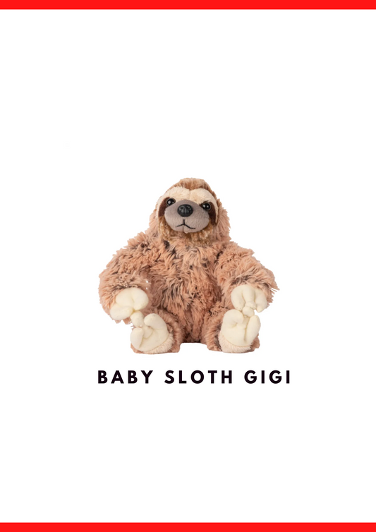 Gigi Baby Sloth