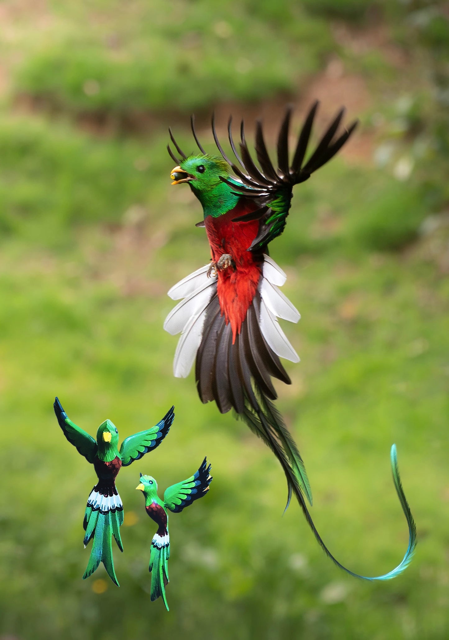 Quetzal 