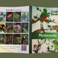 Monteverde coloring book