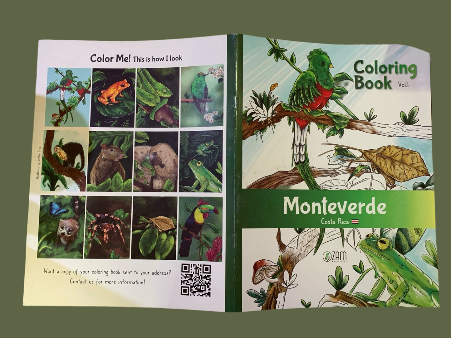 Monteverde coloring book